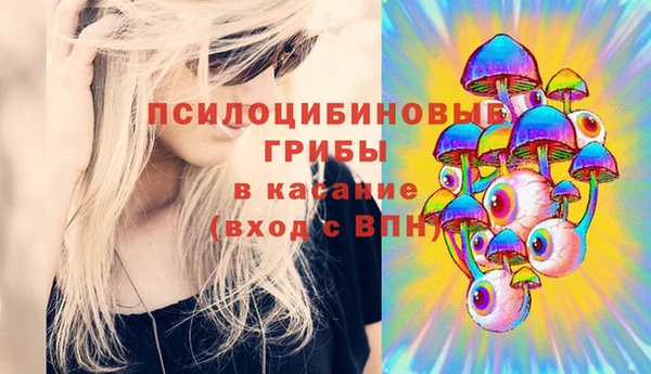 МДПВ Касимов