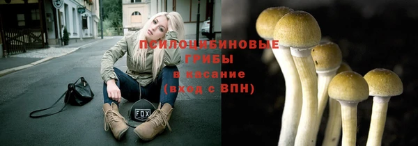 МДПВ Касимов