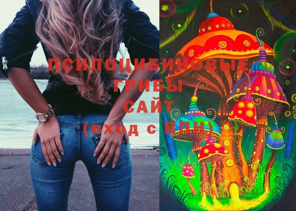 spice Карталы
