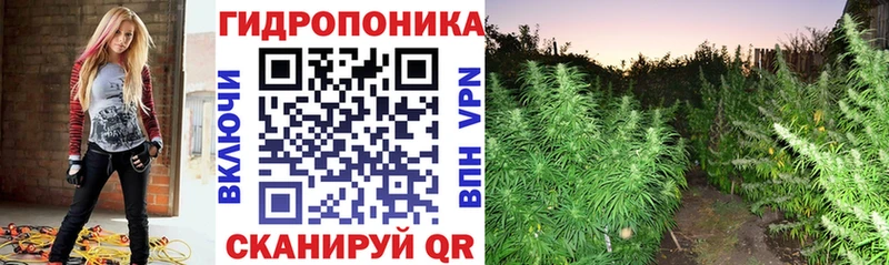 Купить где  Яранск  Шишки марихуана VHQ 
